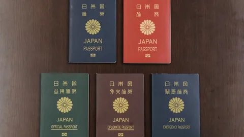 切尔西凭借厄德高神助续写不败传奇，连续取胜展现精彩进球与助攻盛宴！